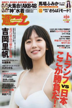 登录圆鱼洲